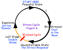 The lull stage chart