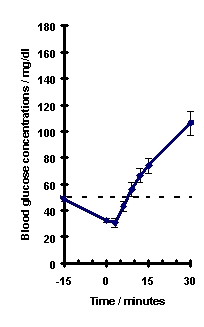 Glugagen Gastrointestinal Motility Inhibition