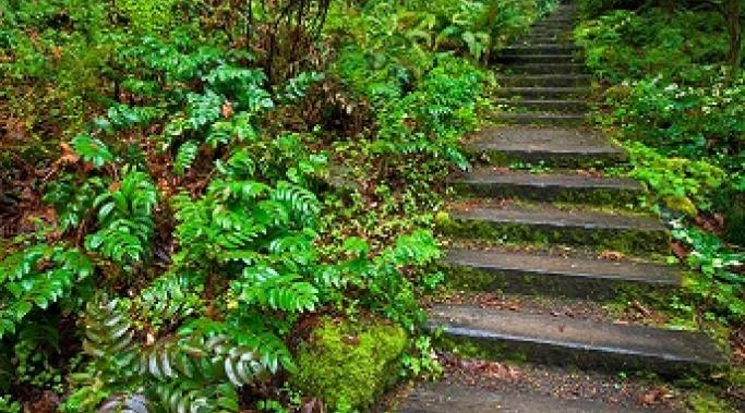 The 12 step approach to PTSD recovery can be empowering. But steps 2-3 give people second thoughts. Let me talk you through - PTSD recovery is only a step away.